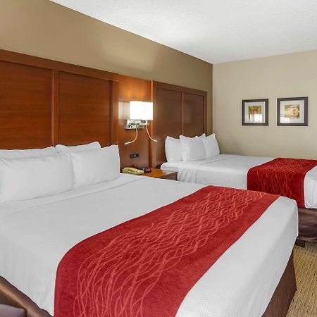 Comfort Inn & Suites Rochelle - Dekalb מראה חיצוני תמונה