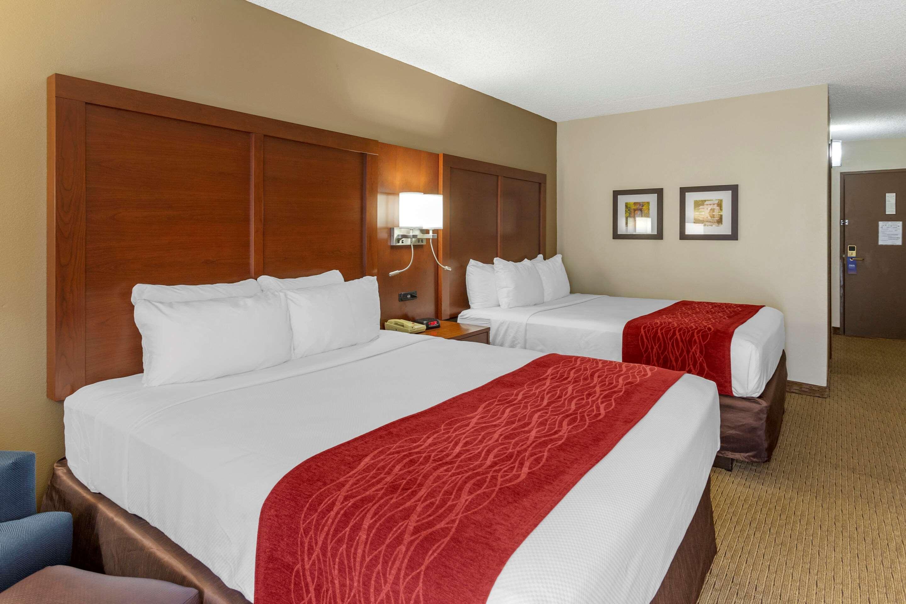 Comfort Inn & Suites Rochelle - Dekalb מראה חיצוני תמונה