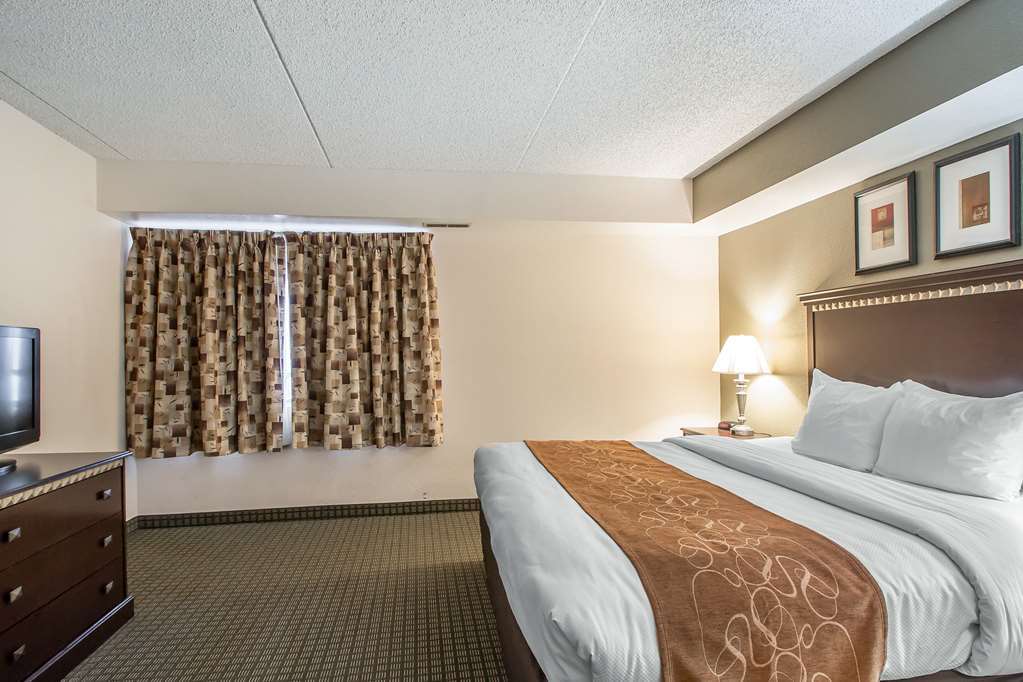 Comfort Inn & Suites Rochelle - Dekalb חדר תמונה